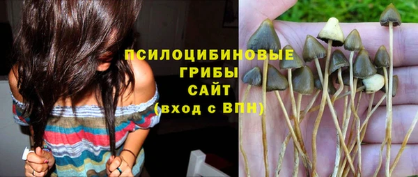 спиды Аркадак