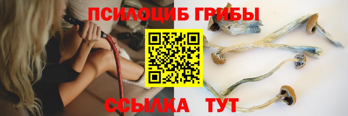 Галлюциногенные грибы GOLDEN TEACHER  Вход с VPN  Верхняя Салда  Псилоцибиновые грибы Cubensis 